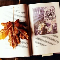 Иллюстрация текстового отрывка