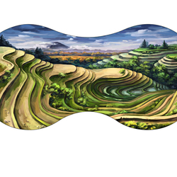 Рисовые поля