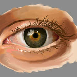Eye