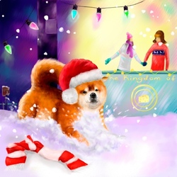 Зимняя пора