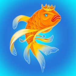 золотая рыбка 