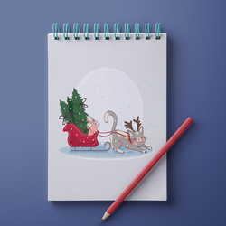 едем за елкой