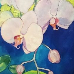Орхидеи 2