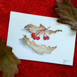  Autumn