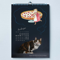 О чем мечтают кошки?