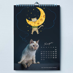 О чем мечтают кошки?