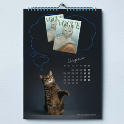 О чем мечтают кошки?