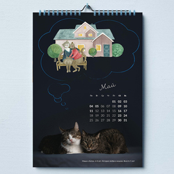 О чем мечтают кошки?