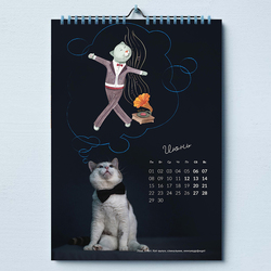 О чем мечтают кошки?