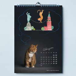 О чем мечтают кошки?