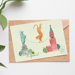 О чем мечтают кошки?