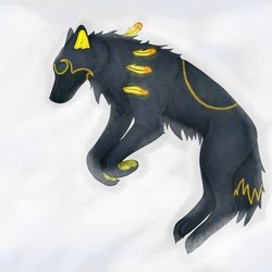 06