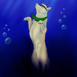 05