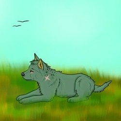04