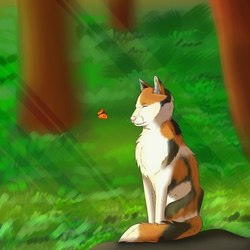 03