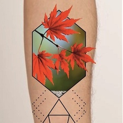 красный клён