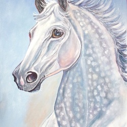 Ветер в гриве.