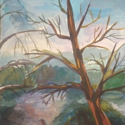 Кот на берегу реки