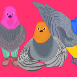 Pussy riot pigeons 