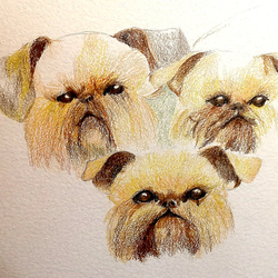 Любимые грифоны