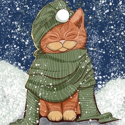 Кот на снегу