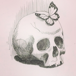 Butterfly & skull