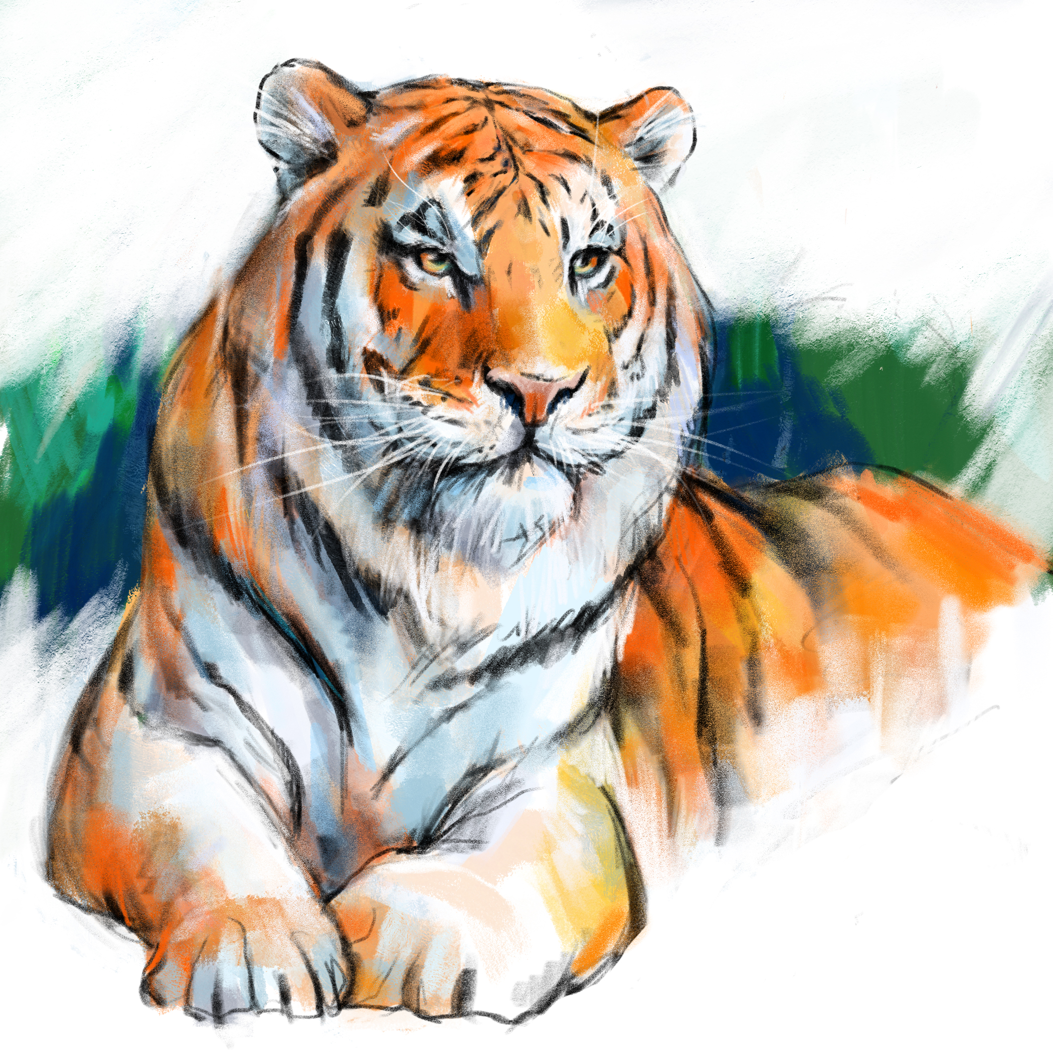 Софья Никулина иллюстрации тигр