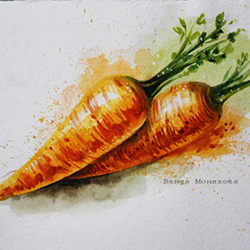 Аква скетч "Морковь"