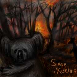 Save Koalas