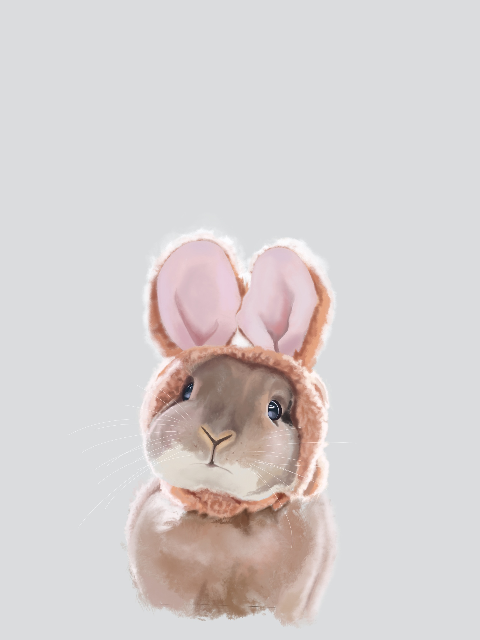Самые красивые картинки кроликов