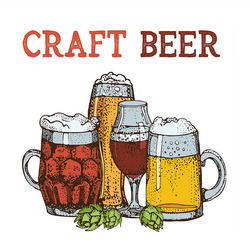 Craft beer