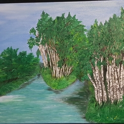 березовая роща у реки .