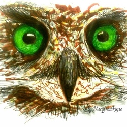 Owl