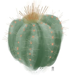 Круглый кактусик
