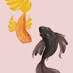 Pisces