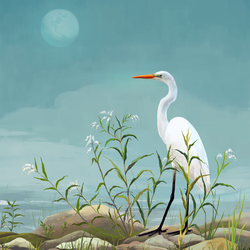 Crane
