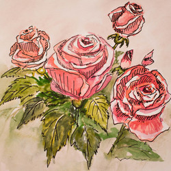 Розовые розы