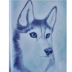 Небесные глаза