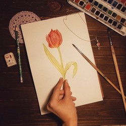 Tulip