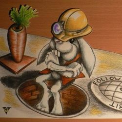 Следуй за Белым Кроликом