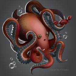 Octopus