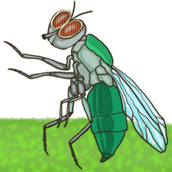 "Беседа пчелы с мухой"