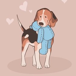 Бигль с игрушкой