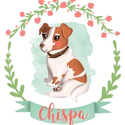 Chispa Dog Portrait