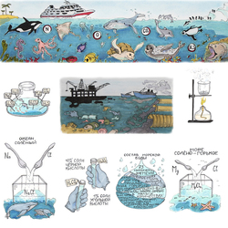 для детского журнала "Кот в мешке", статья о составе воды в морях и океанах