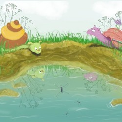 улитки на природе