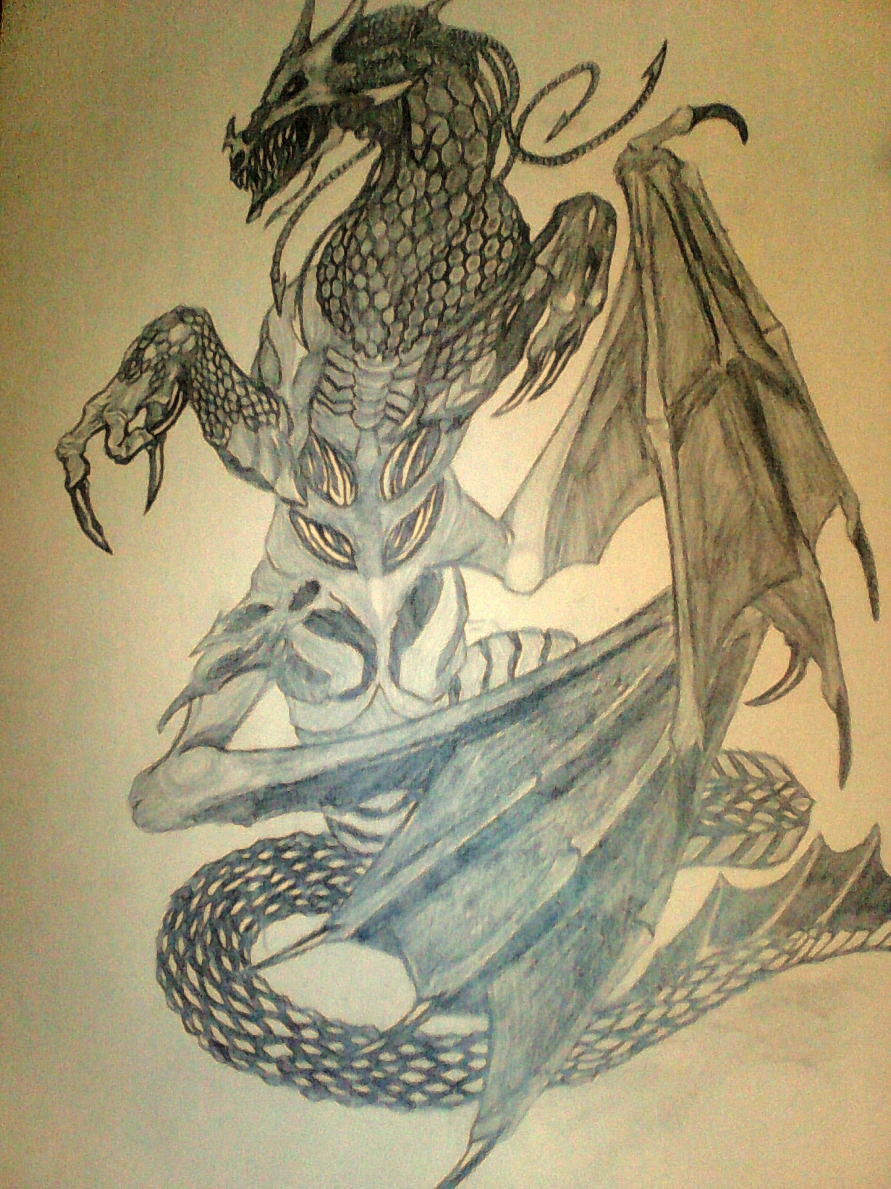 Вирм штормов