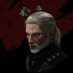 The Witcher