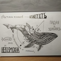 Киты тоже мечтают