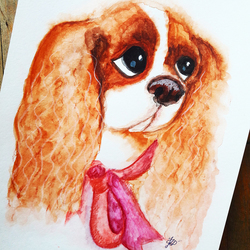 Cavalier King Charles Spaniel